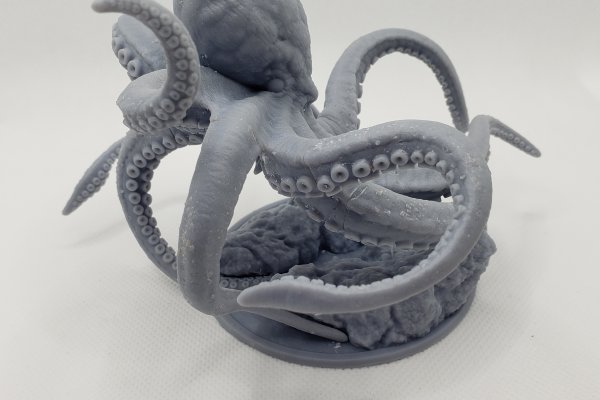 Kraken kraken link24 info