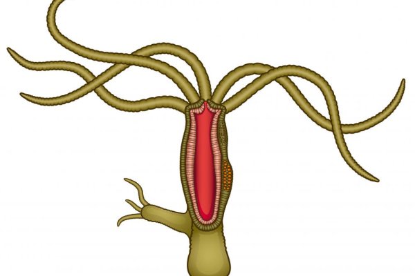 Гидра ссылка зеркало